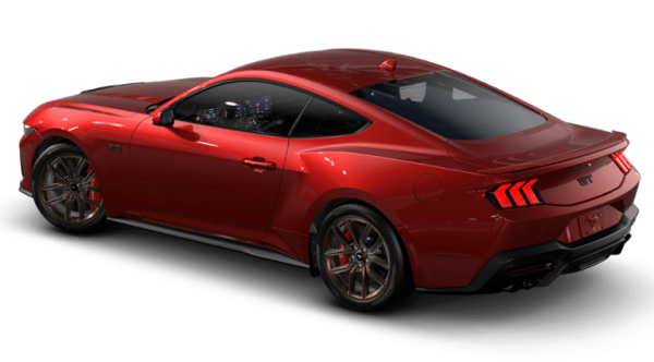 -113882451976511538_1