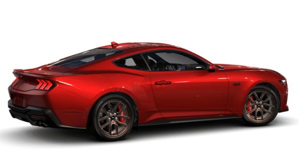 -113882451976511538_2