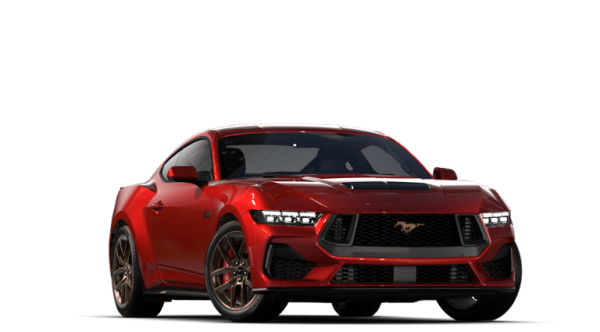 -113882451976511538_3