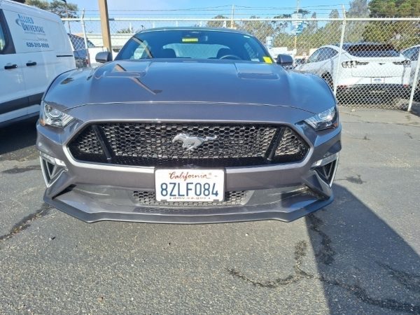 167749333605410293_1