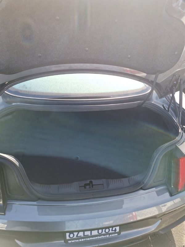 167749333605410293_5