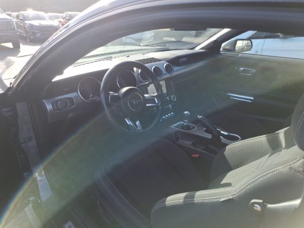 167749333605410293_6