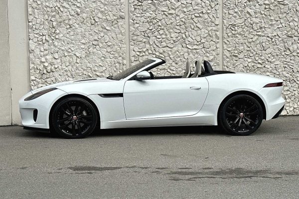 1893686559279358693_5