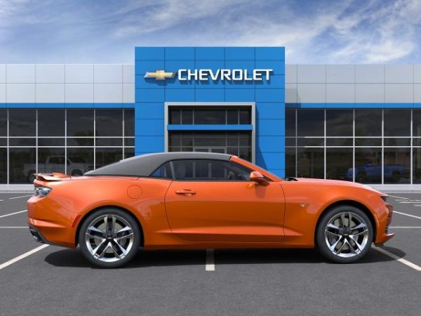 2623515664710919818_5