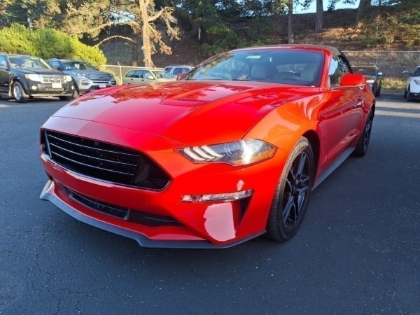 4258203323302690990_1