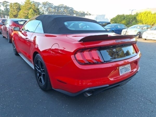 4258203323302690990_2