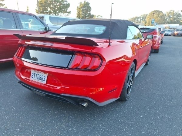 4258203323302690990_3