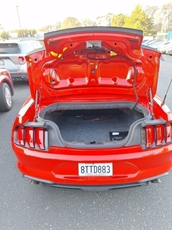 4258203323302690990_4