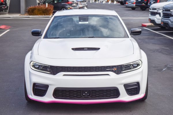 -5004556703976968173_2