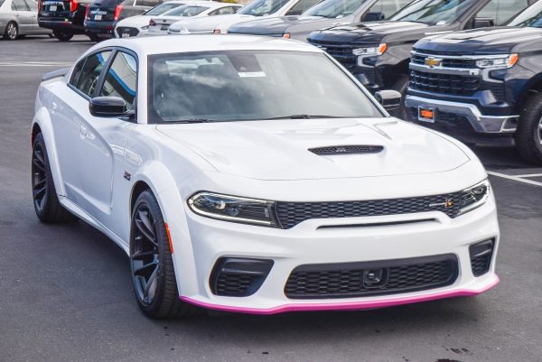 -5004556703976968173_3