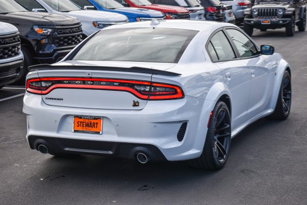 -5004556703976968173_4