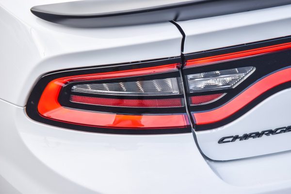 -5004556703976968173_8