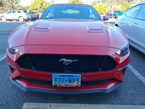 7854301753102213659_1