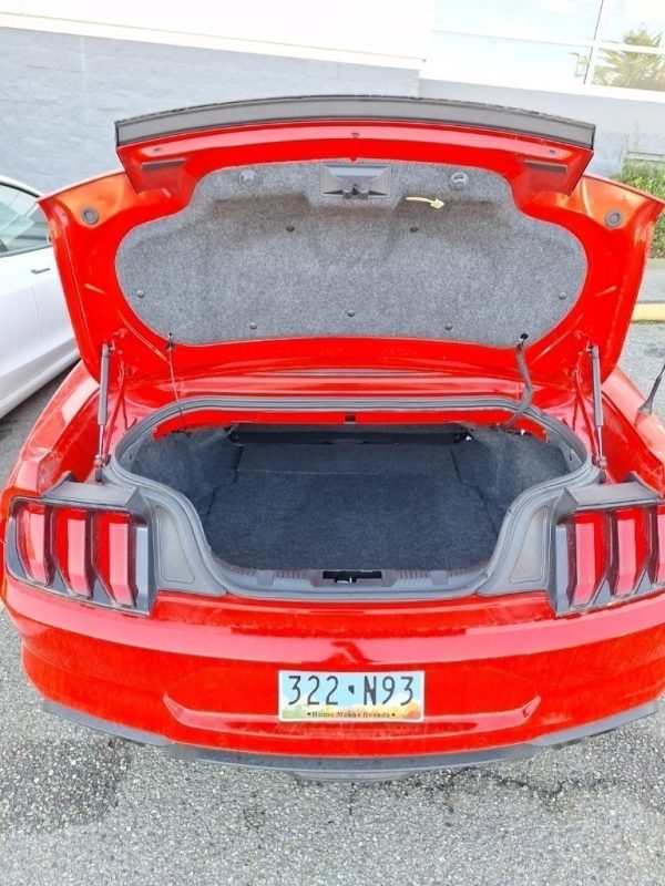 7854301753102213659_5