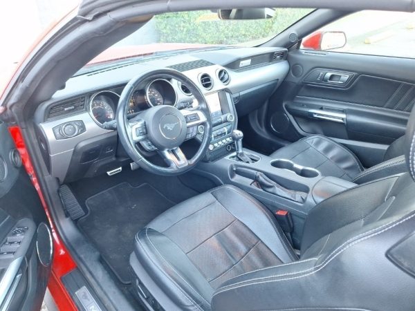 7854301753102213659_6