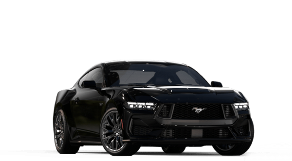 8142057091096250127_3